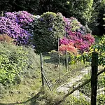 La Casa Di Anna